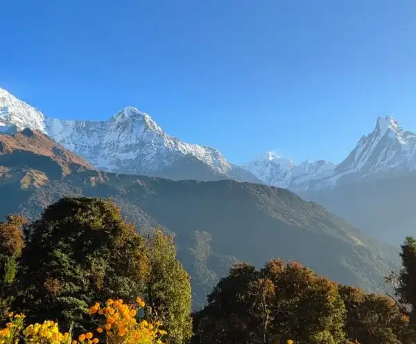 Les belvédères des Annapurnas