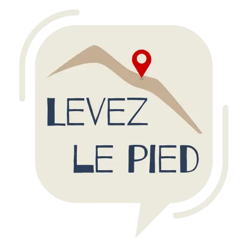 logo LEVEZ LE PIED