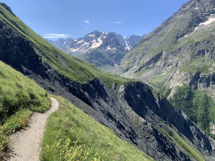 Dans la nature, l’instinct n’est pas opposé à l’intelligence : il la révèle.