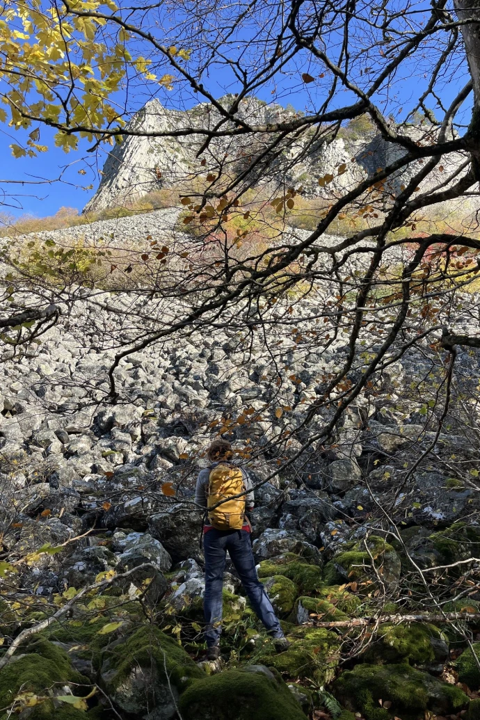 leadership en nature