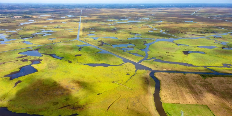 Un autre regard sur la nature