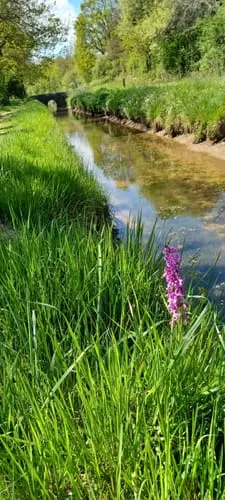 Le réveil du vivant