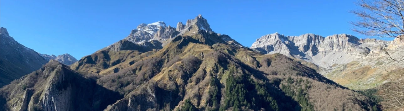 immersion dirigeants nature