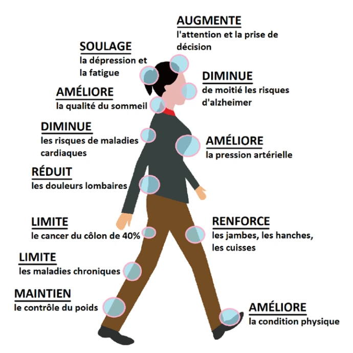 La marche est bien plus qu’un déplacement