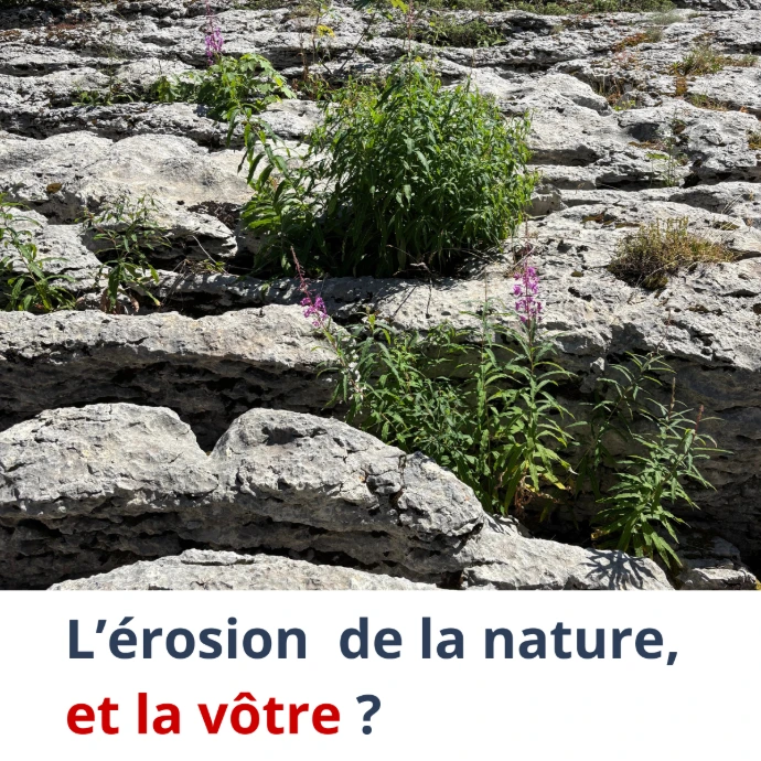 Qu’est-ce que l’analogisme chez LEVEZ LE PIED ?