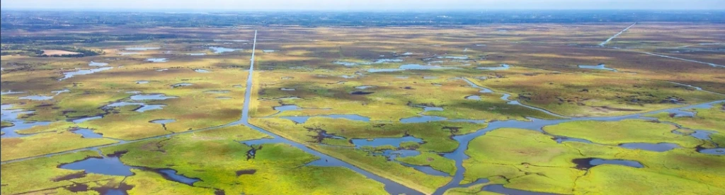 La nature, un terrain d’intelligence