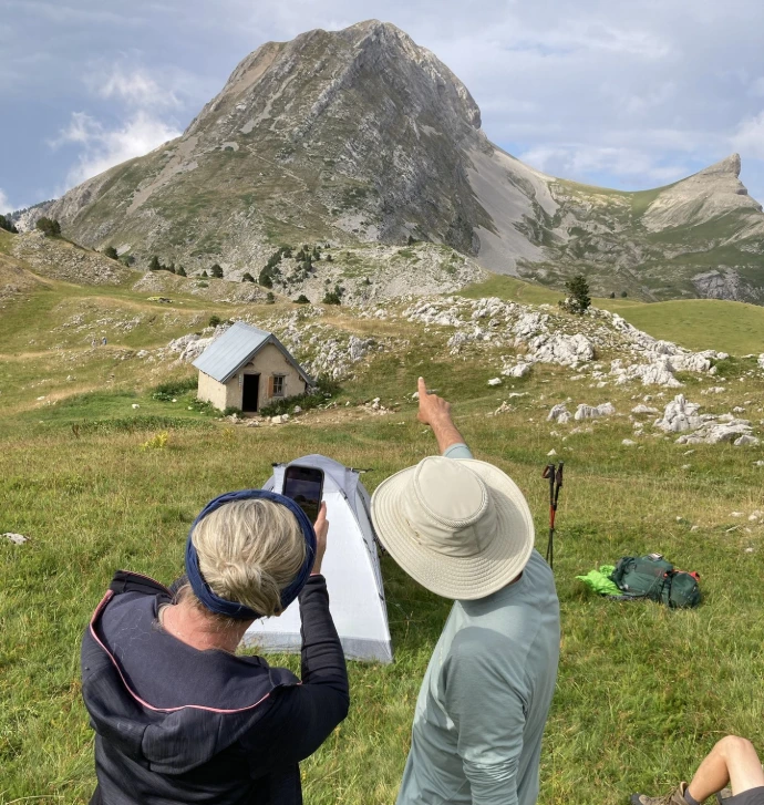 Dirigeant en immersion dans la nature pour retrouver présence, ancrage et disponibilité
